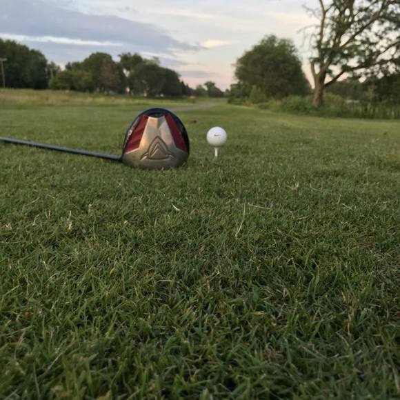 Meet your Posher, Devon - Picture 1 of 1